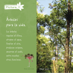 pictura_camiseta_m38_fb21
