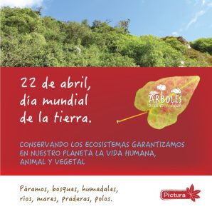 pictura_camiseta_m1_ab25