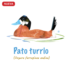 Ilustración Pato Turrio