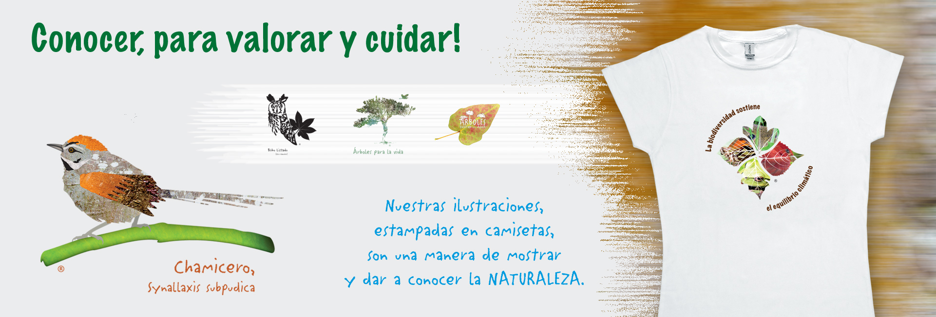 pictura_cabezote2_ag25