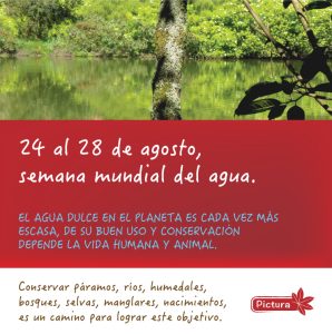 pictura_camiseta_m2_ag25
